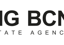 Big Bcn_logo
