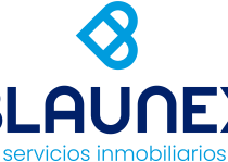 Blaunex_logo