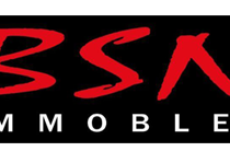 Bsn Immobles_logo