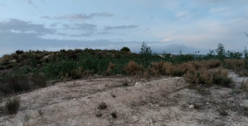 Terreno Rural -  Campos del Río_1