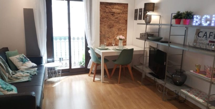 Fantástico piso reformado con encanto a pocos metros del Mercat de Sant Antoni_1