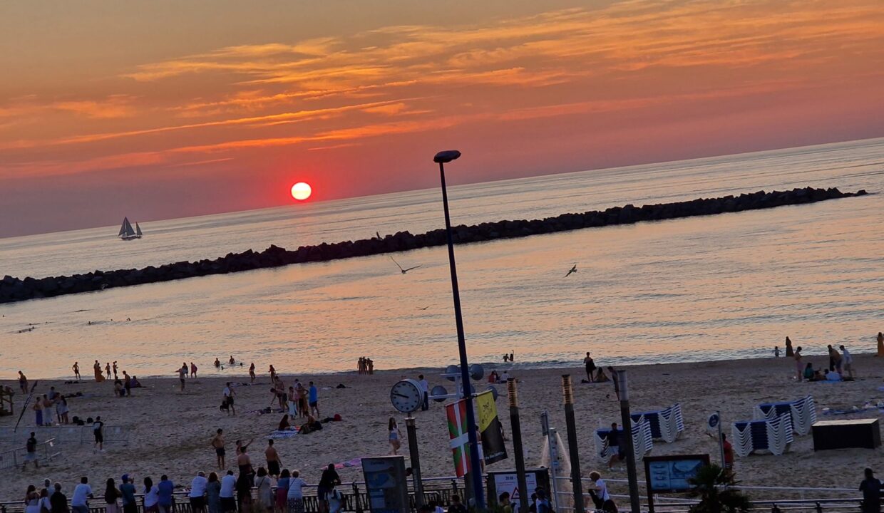 20230624_214833-scaled