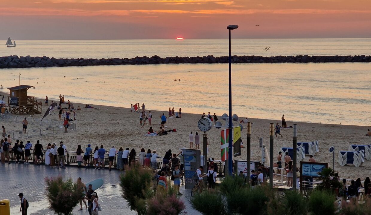 20230624_215219-scaled