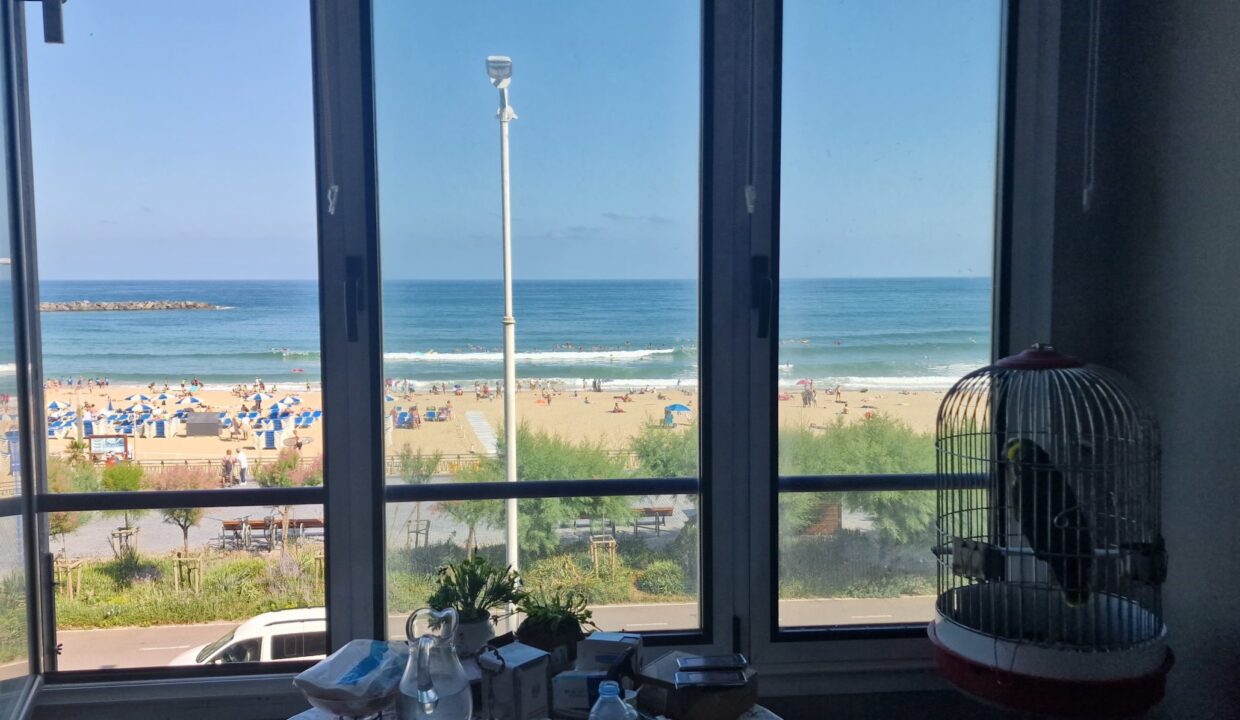 20230710_105721-scaled