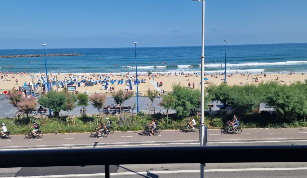 20230710_111105-scaled