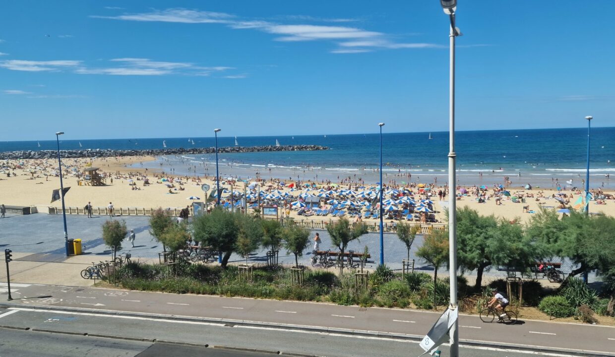 20230819_152431-scaled