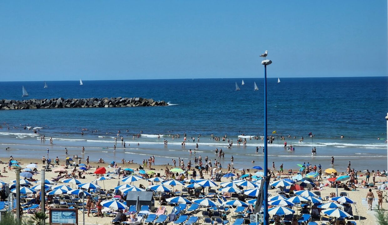 20230819_152817-scaled