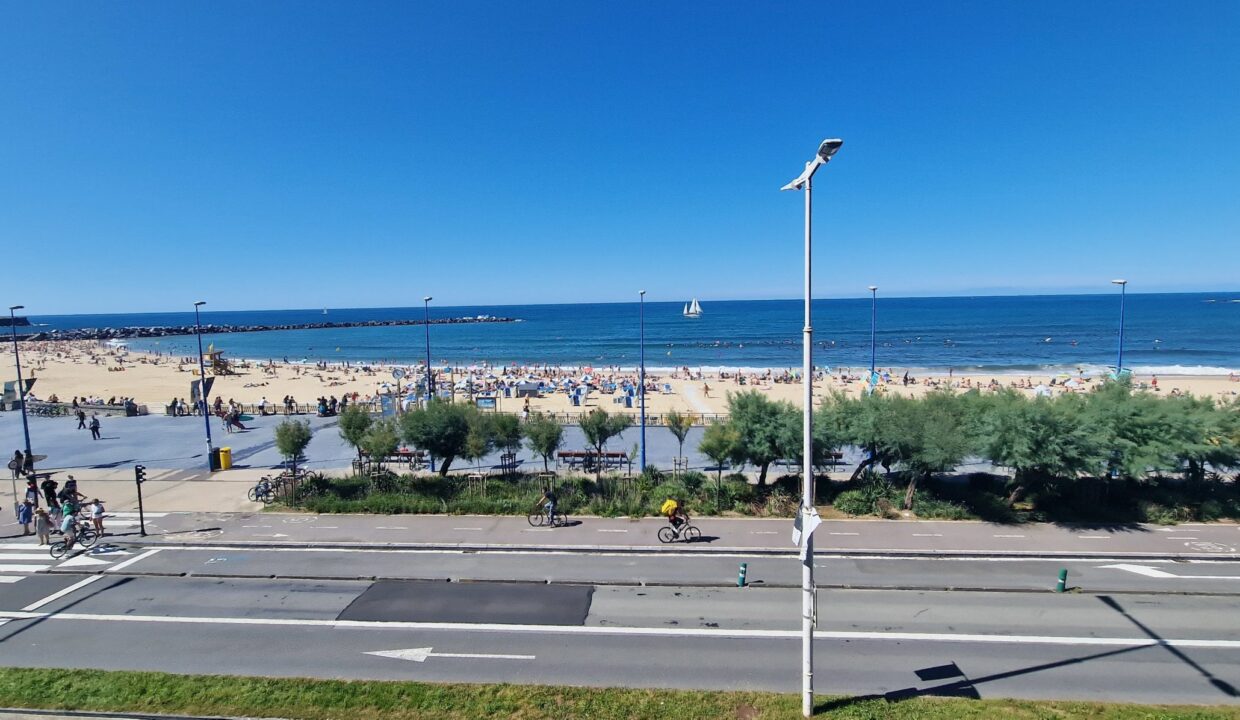 20230831_155653-scaled