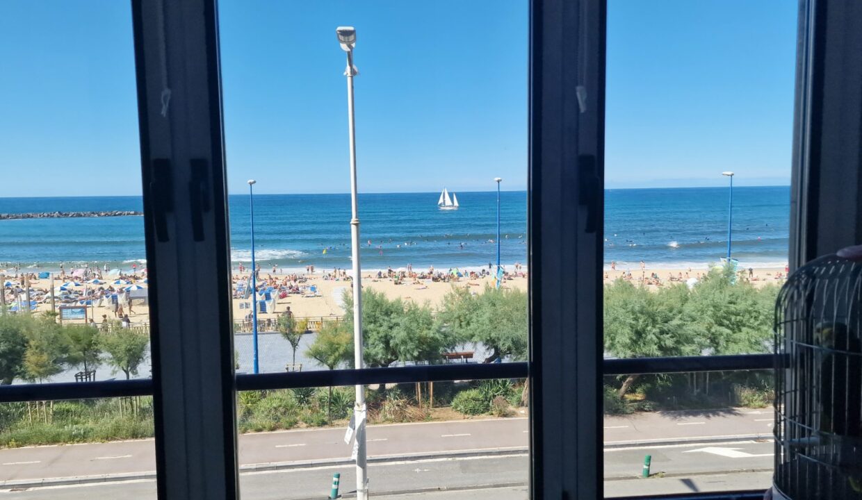 20230831_155812-scaled