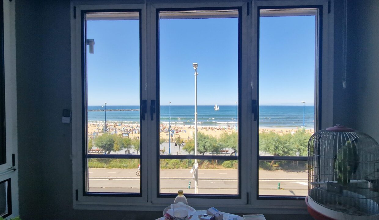 20230831_155824-scaled