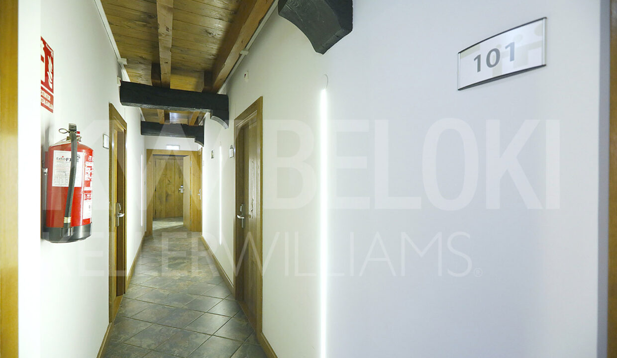 Roberto-Beloki-DN1705-60-M