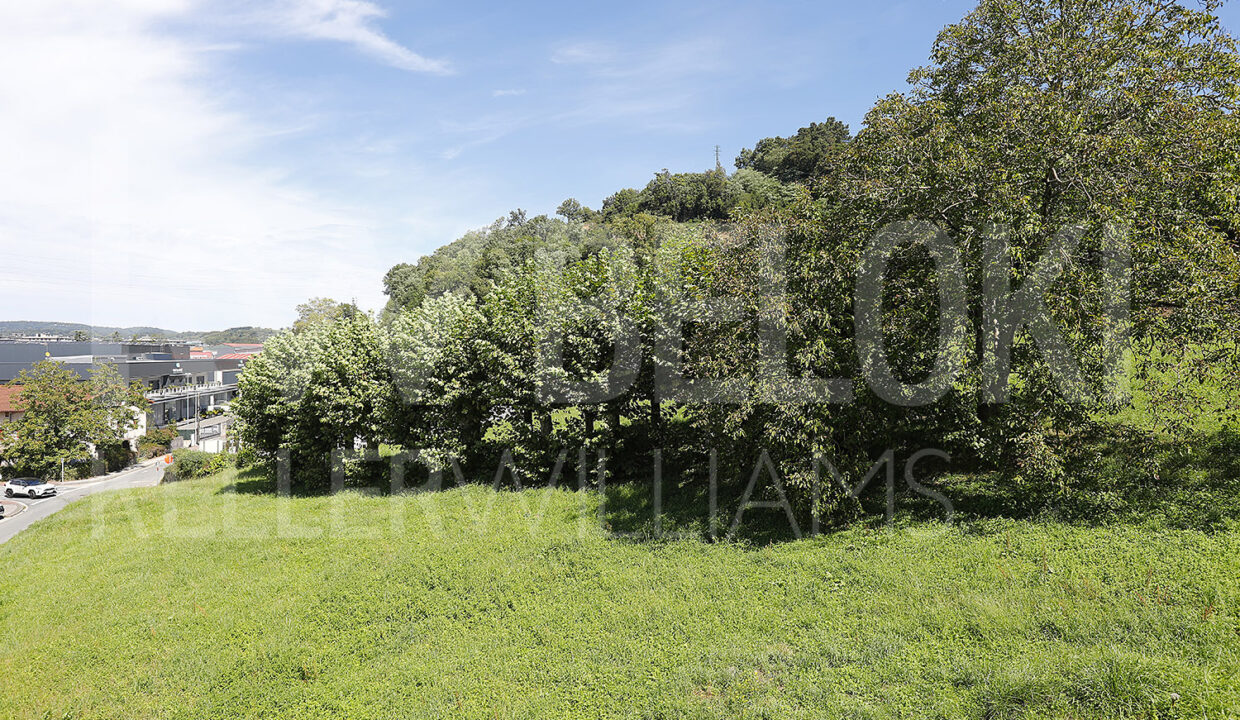 Roberto-Beloki-DP1777-16-M