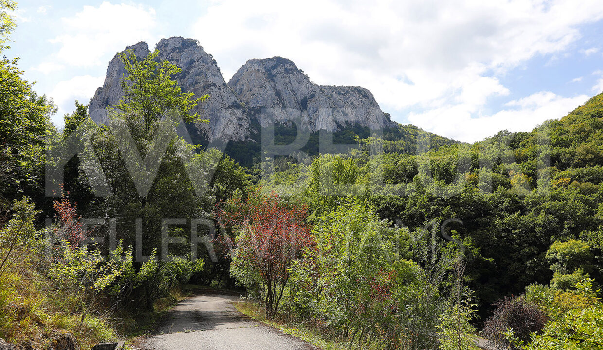 Roberto-Beloki-DS1700-1-M-1