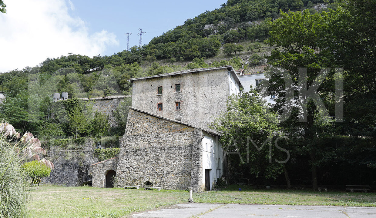 Roberto-Beloki-DS1700-10-M