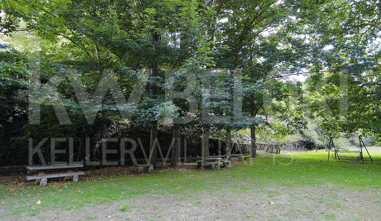 Roberto-Beloki-DS1700-11-M