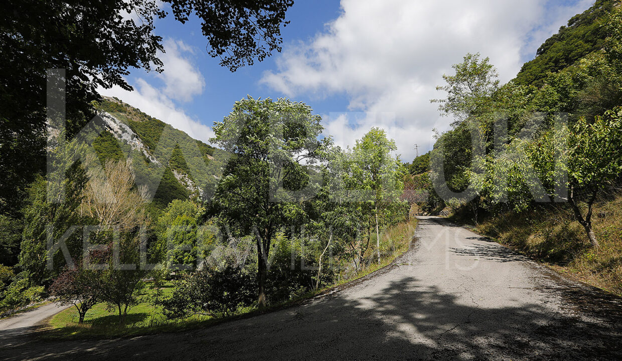 Roberto-Beloki-DS1700-2-M