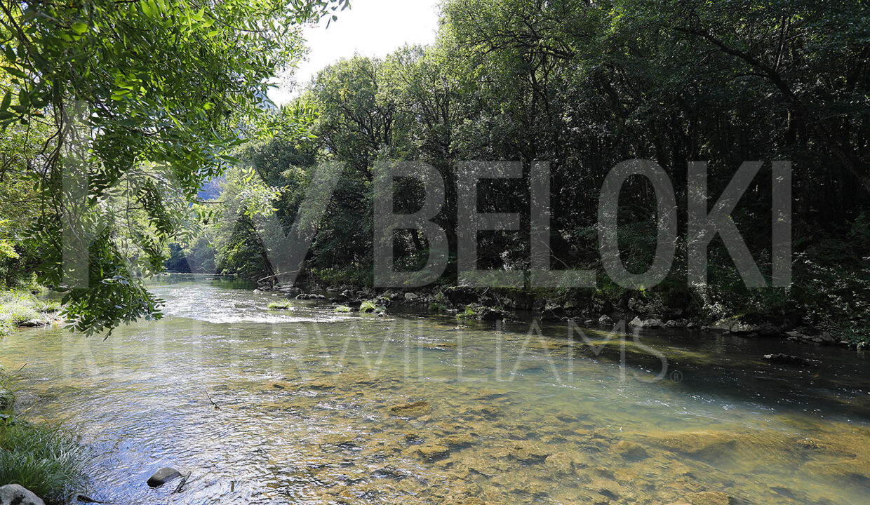 Roberto-Beloki-DS1700-22-M-1