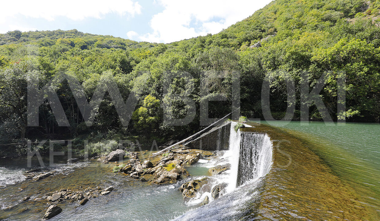 Roberto-Beloki-DS1700-25-M