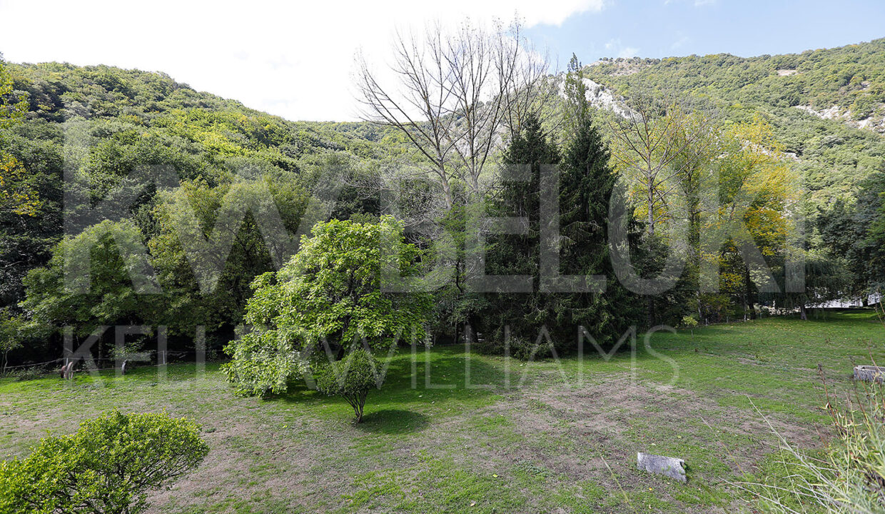 Roberto-Beloki-DS1700-29-M