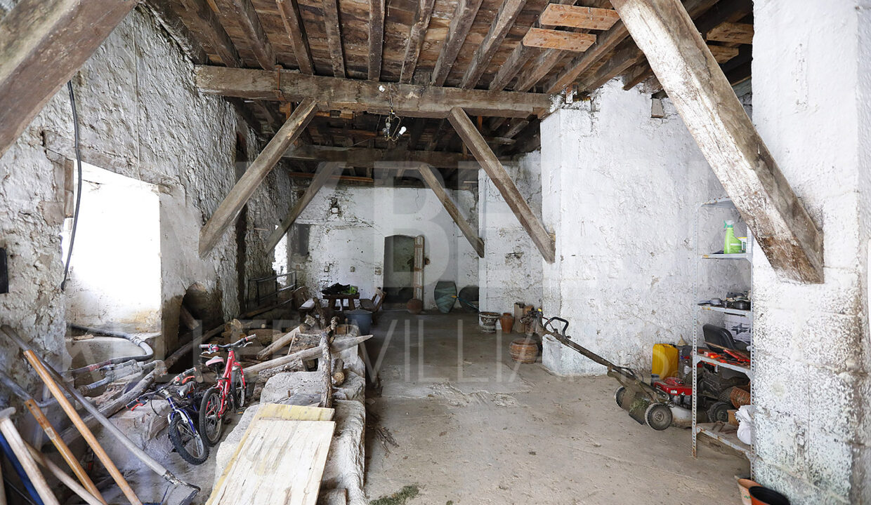 Roberto-Beloki-DS1700-31-M-1