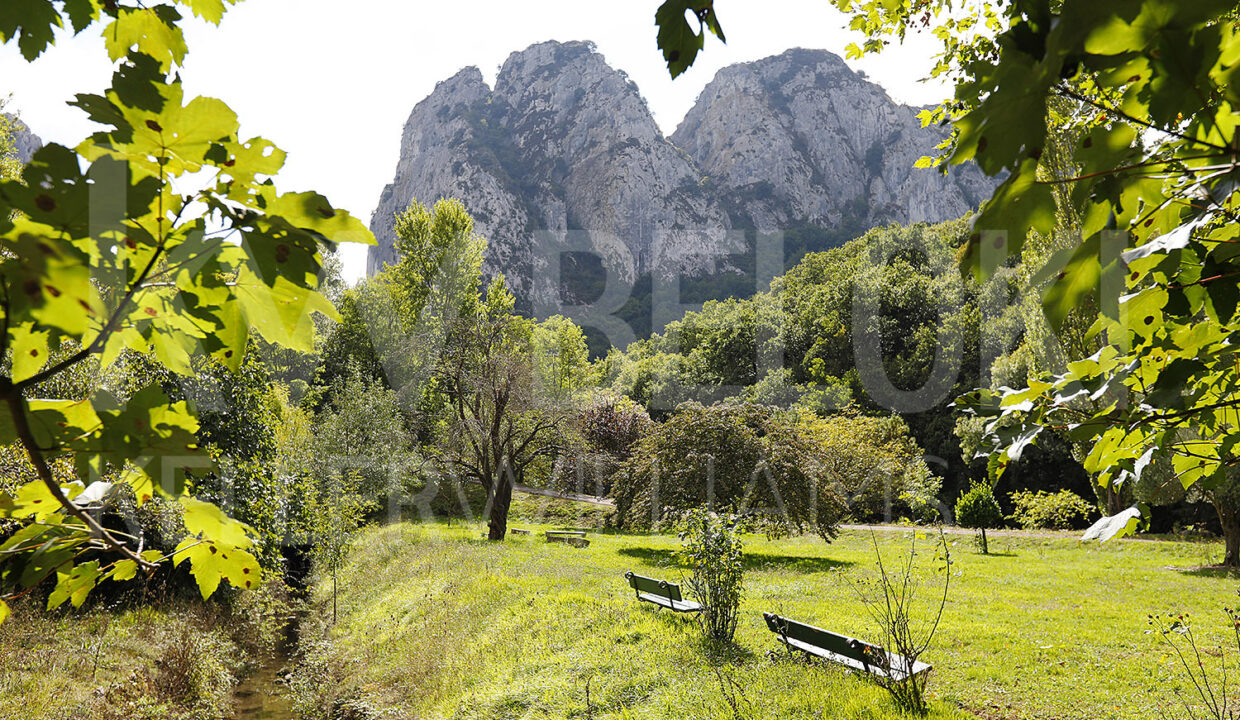 Roberto-Beloki-DS1700-32-M-1