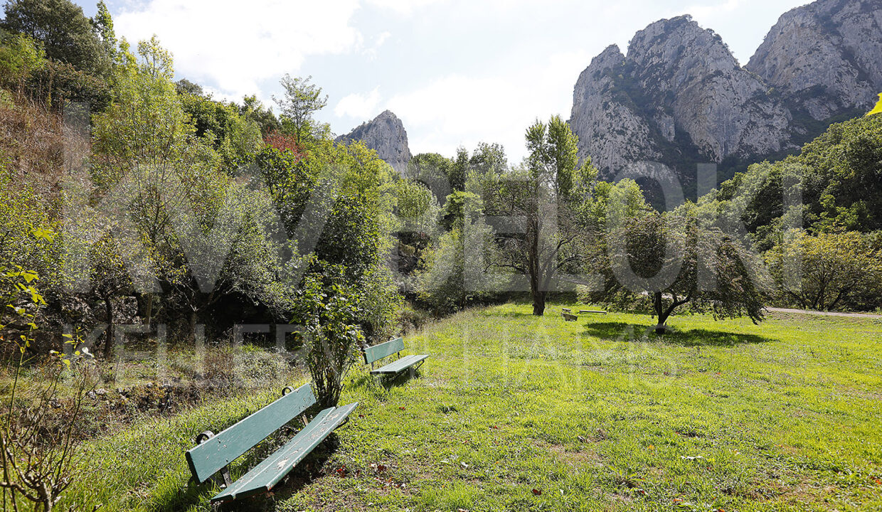 Roberto-Beloki-DS1700-33-M