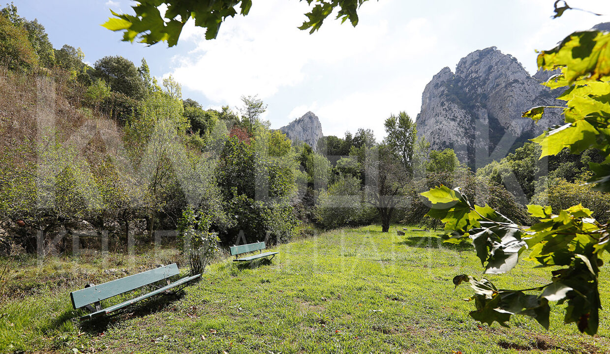 Roberto-Beloki-DS1700-34-M