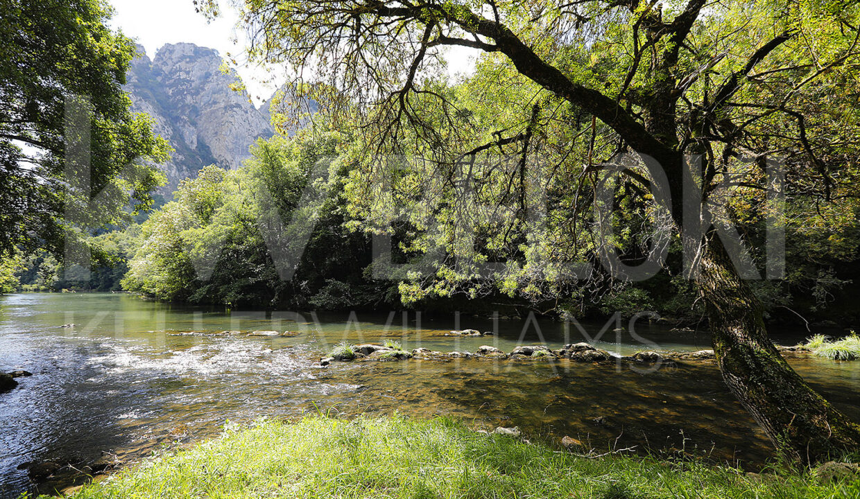 Roberto-Beloki-DS1700-4-M