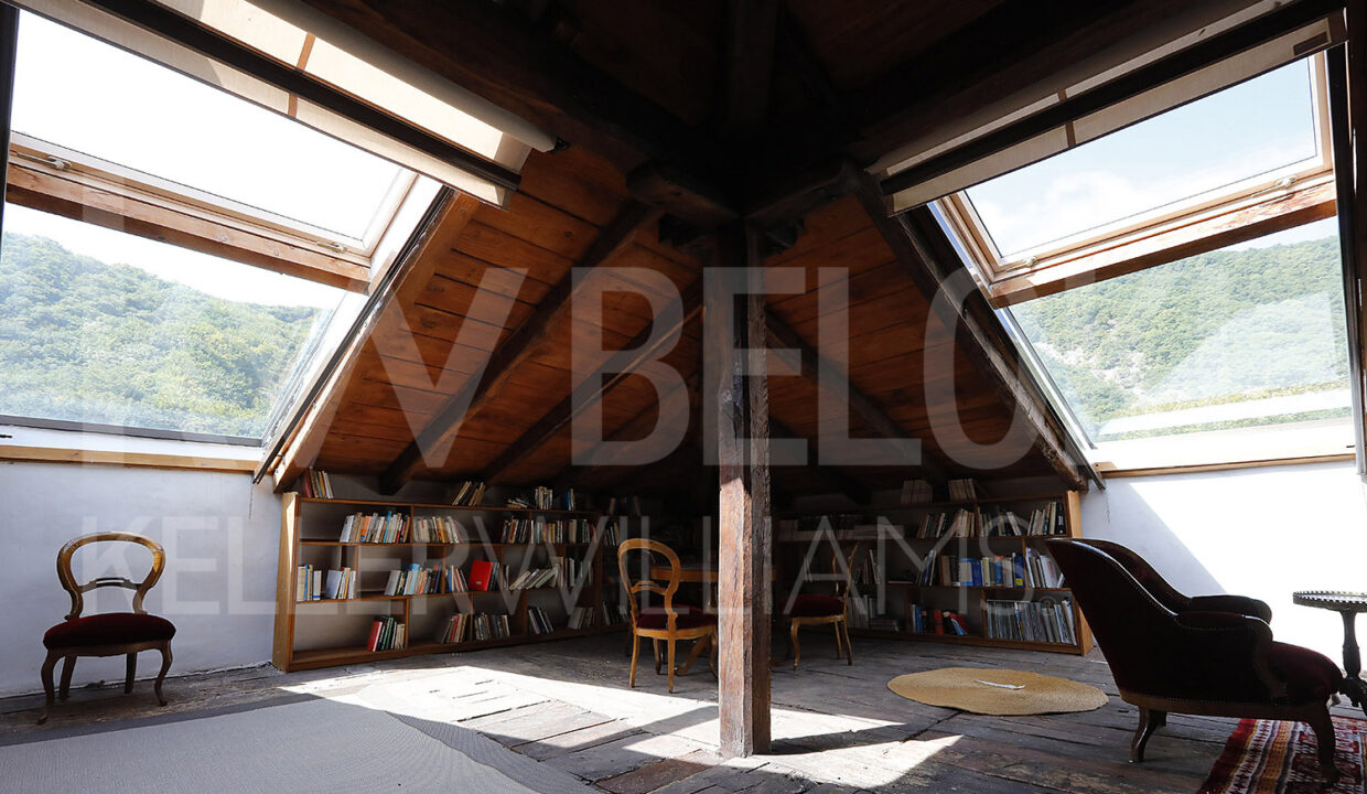 Roberto-Beloki-DS1700-42-M-1