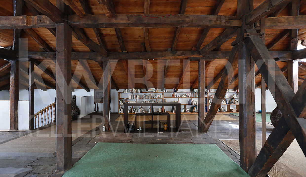 Roberto-Beloki-DS1700-43-M