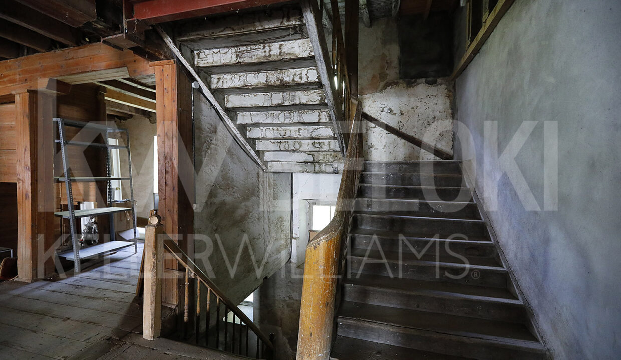 Roberto-Beloki-DS1700-44-M-1