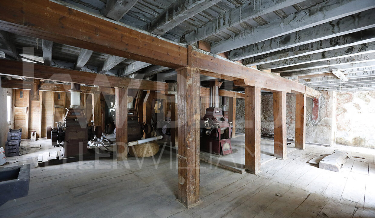 Roberto-Beloki-DS1700-46-M-1