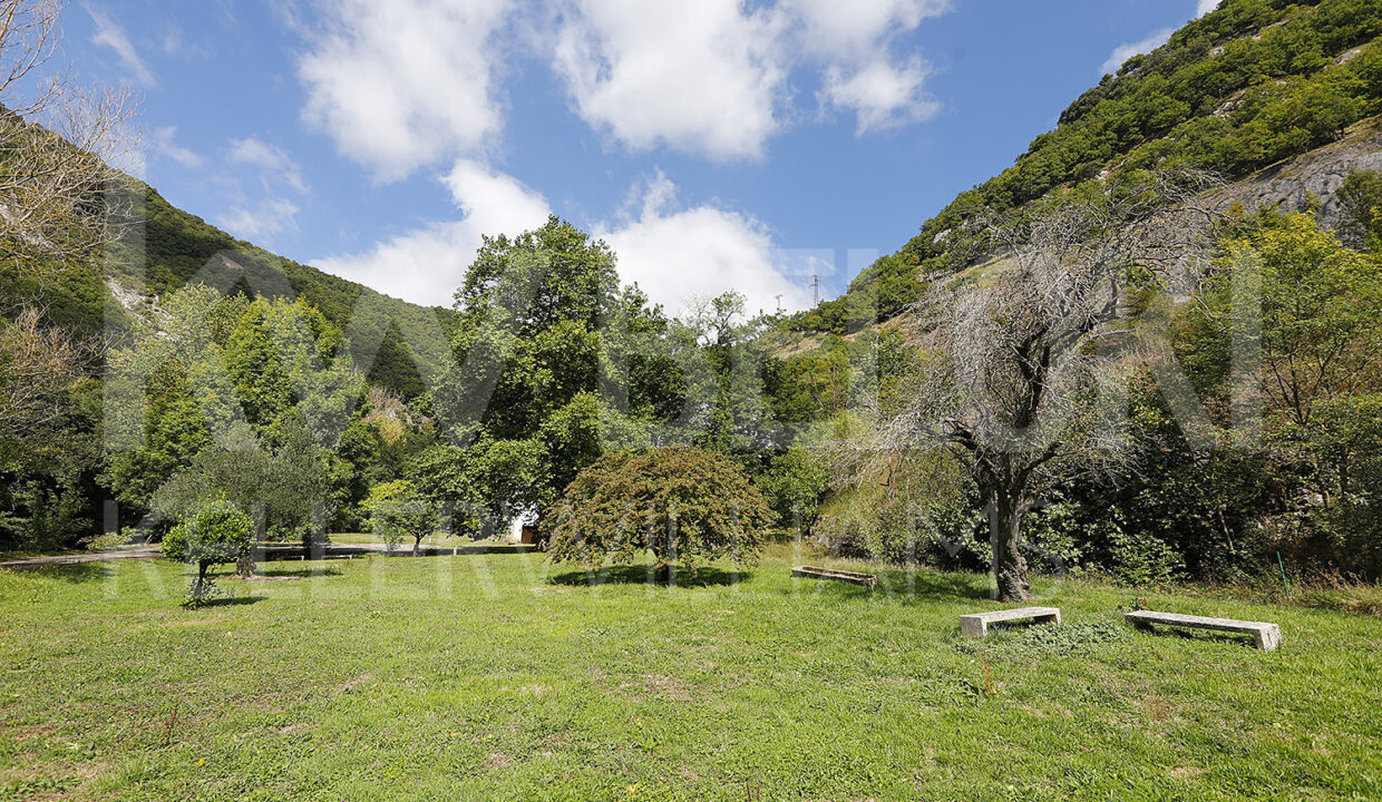 Roberto-Beloki-DS1700-7-M