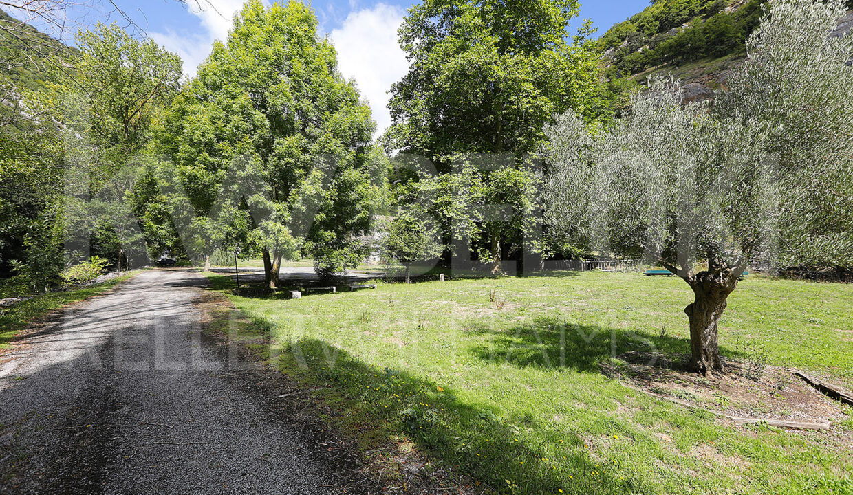 Roberto-Beloki-DS1700-8-M