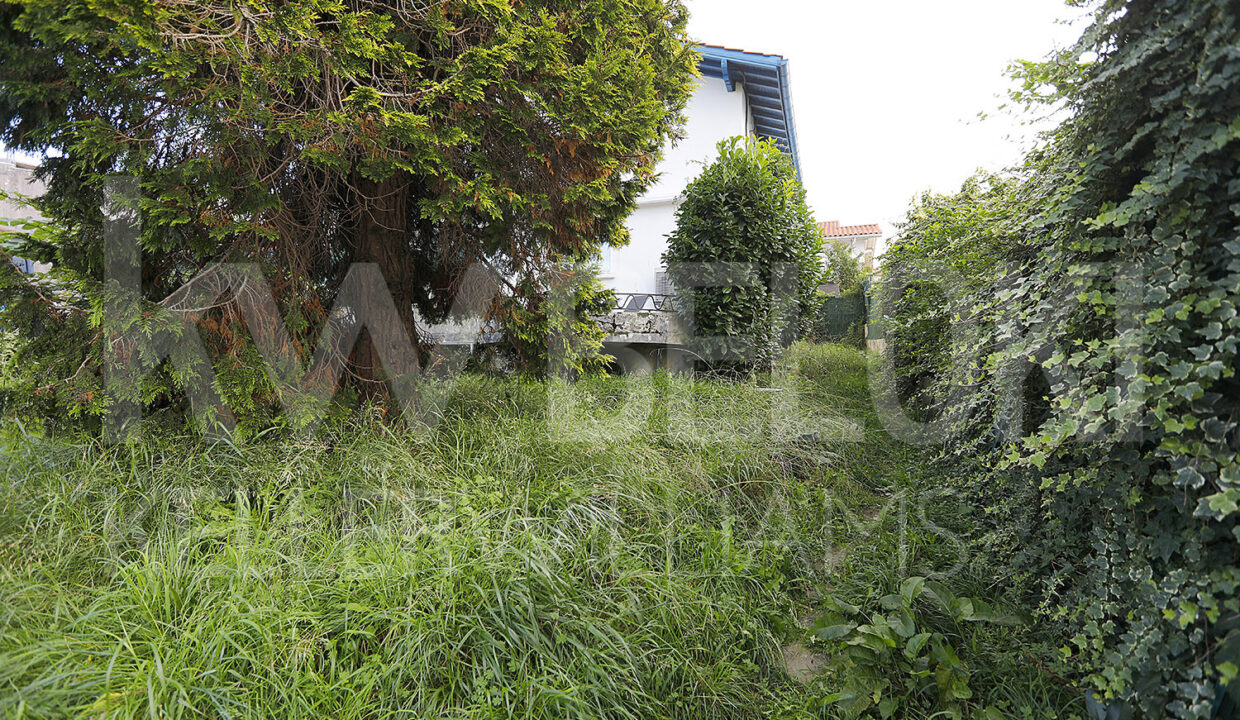 Roberto-Beloki-FP1702-19-M