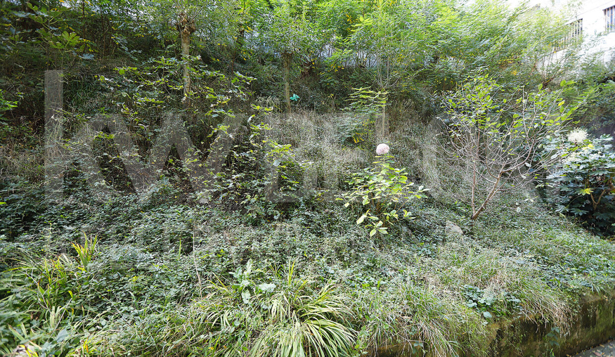 Roberto-Beloki-GP2013-11-M