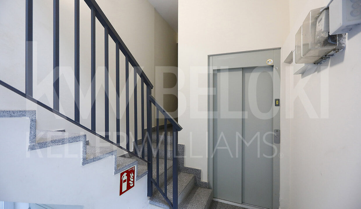 Roberto-Beloki-GP2013-3-M