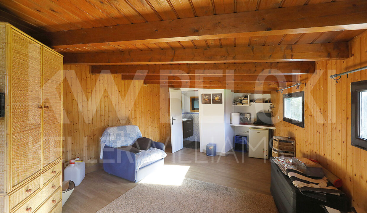 Roberto-Beloki-HC2000-52-M