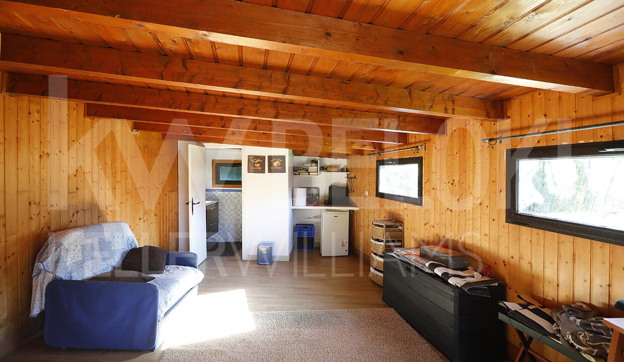 Roberto-Beloki-HC2000-53-M