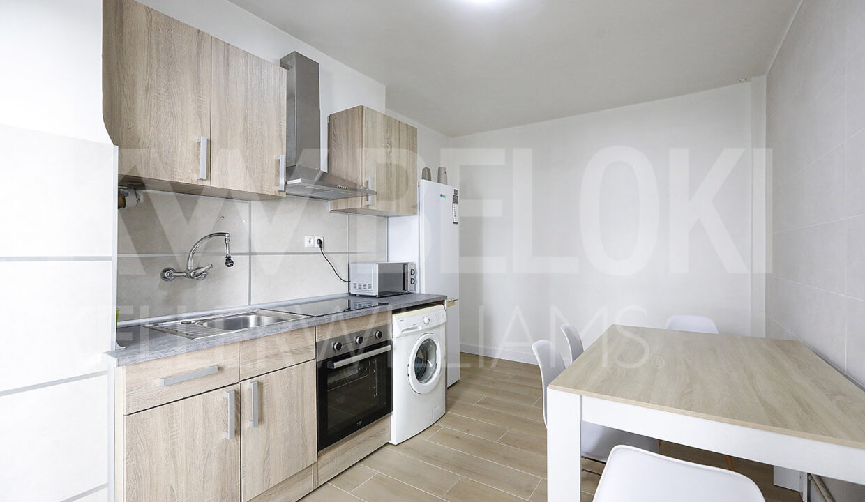 Roberto-Beloki-IP1729-16-M