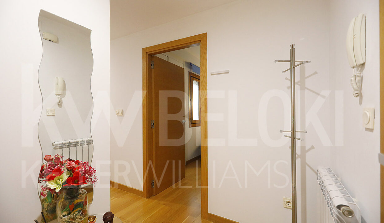 Roberto-Beloki-IP1733-2-M