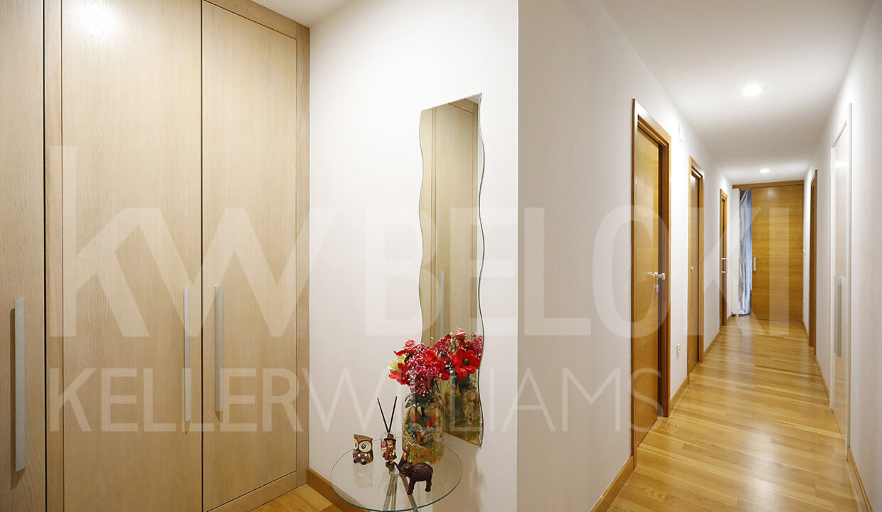 Roberto-Beloki-IP1733-4-M