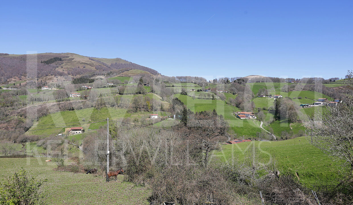 Roberto-Beloki-NC1709-24-M