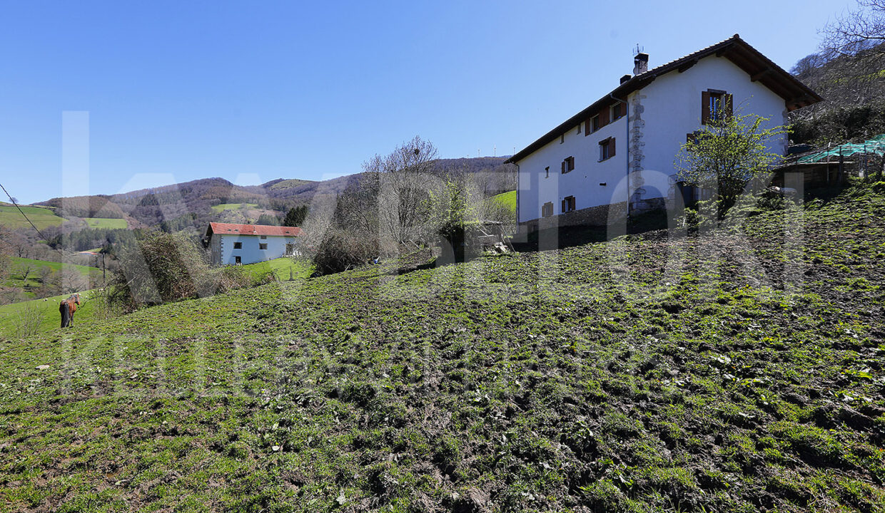 Roberto-Beloki-NC1709-7-M