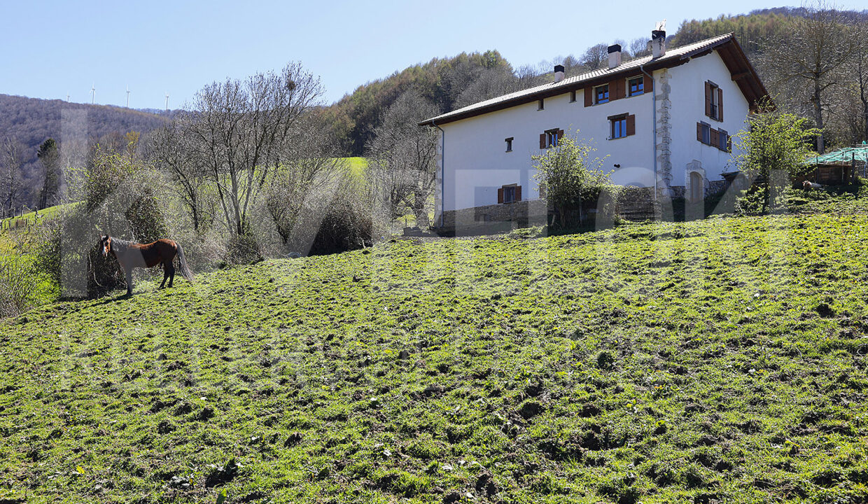 Roberto-Beloki-NC1709-8-M