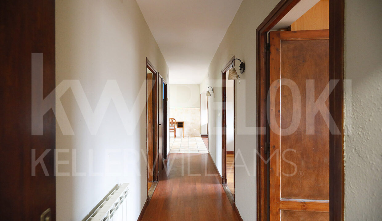 Roberto-Beloki-NP2001-1-M