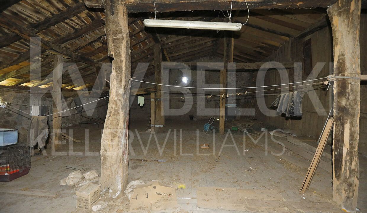 Roberto-BelokiMC2000-14-M