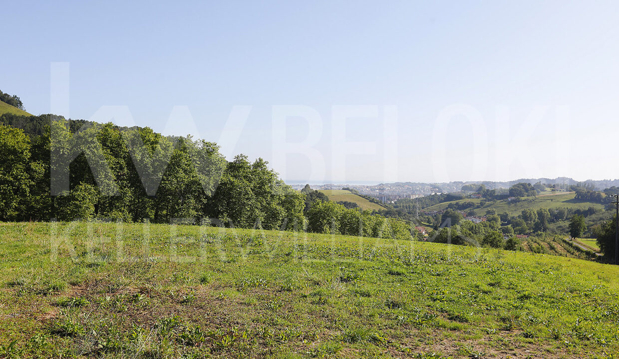 Roberto-BelokiMC2000-2-M