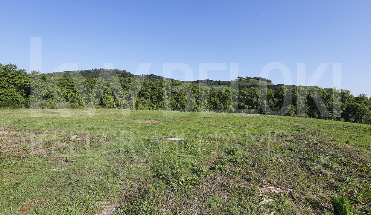 Roberto-BelokiMC2000-3-M