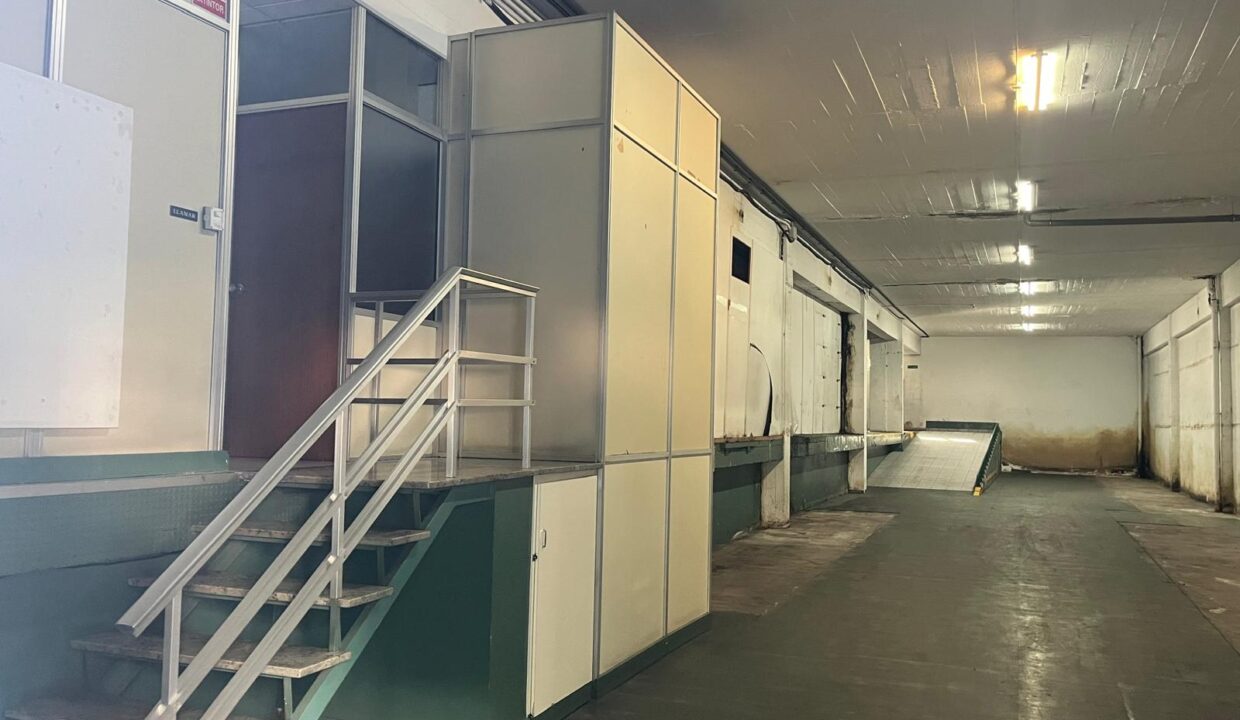 WhatsApp-Image-2024-09-25-at-11.08.00-1